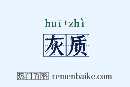 灰质是什么意思的图片